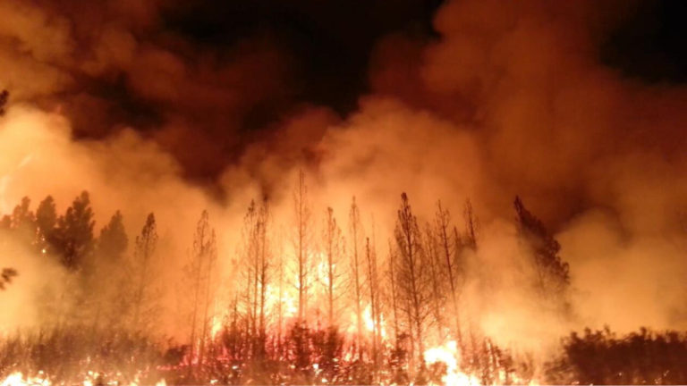 https://upload.wikimedia.org/wikipedia/commons/a/a6/The_Rim_Fire_in_the_Stanislaus_National_Forest_near_in_California_began_on_Aug._17%2C_2013-0004.jpg