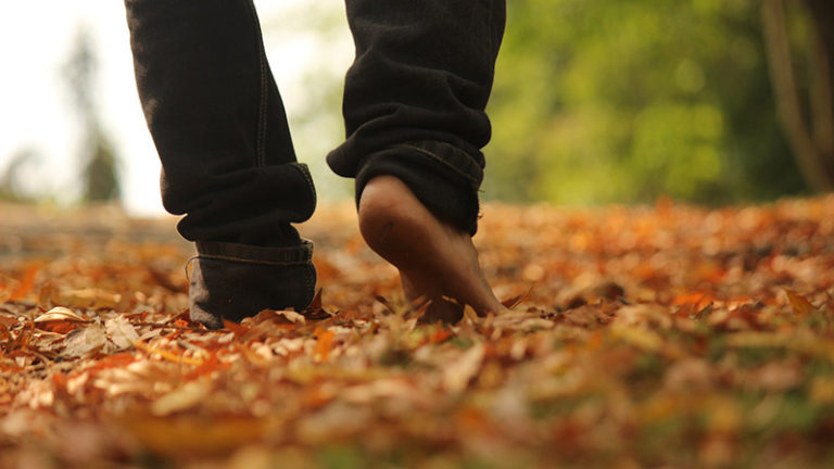 https://cdn.pixabay.com/photo/2017/08/21/05/06/walk-2664125_960_720.jpg