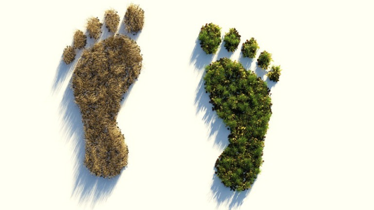 https://cdn.pixabay.com/photo/2019/04/13/01/41/ecological-footprint-4123696_960_720.jpg