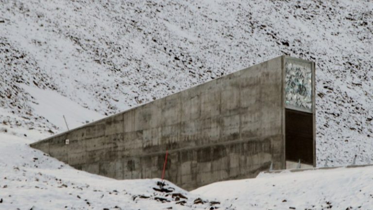 https://upload.wikimedia.org/wikipedia/commons/0/0d/Svalbard_seed_vault_IMG_8751.JPG
