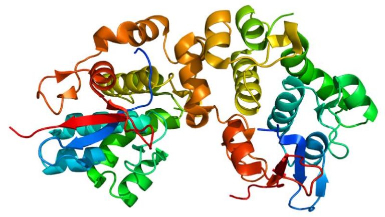 https://upload.wikimedia.org/wikipedia/commons/4/47/Protein_DSP_PDB_1lm5.png