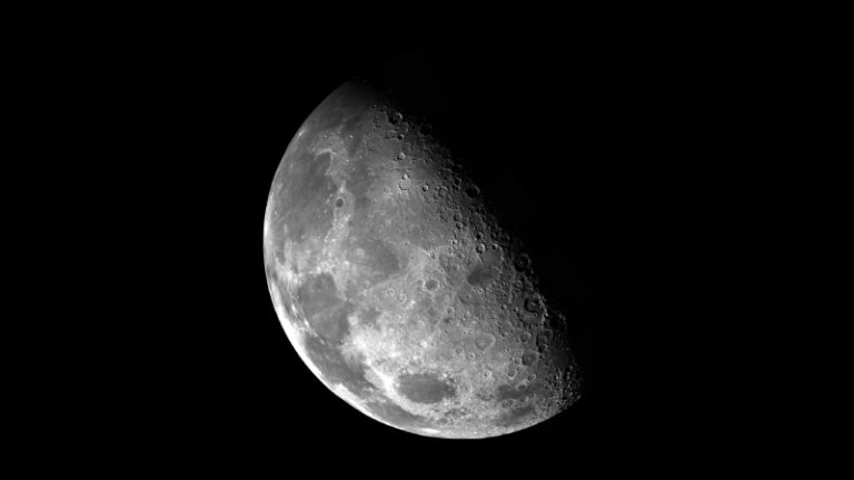 https://images.unsplash.com/photo-1446941611757-91d2c3bd3d45?ixid=MnwxMjA3fDB8MHxwaG90by1wYWdlfHx8fGVufDB8fHx8&ixlib=rb-1.2.1&auto=format&fit=crop&w=733&q=80