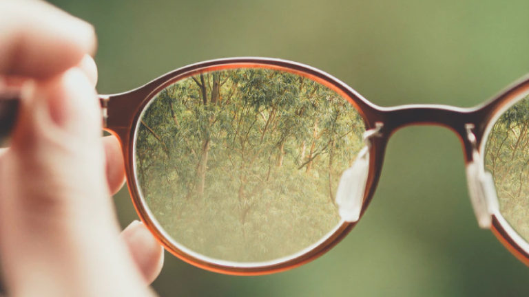 https://images.unsplash.com/photo-1512099053734-e6767b535838?ixid=MnwxMjA3fDB8MHxwaG90by1wYWdlfHx8fGVufDB8fHx8&ixlib=rb-1.2.1&auto=format&fit=crop&w=928&q=80