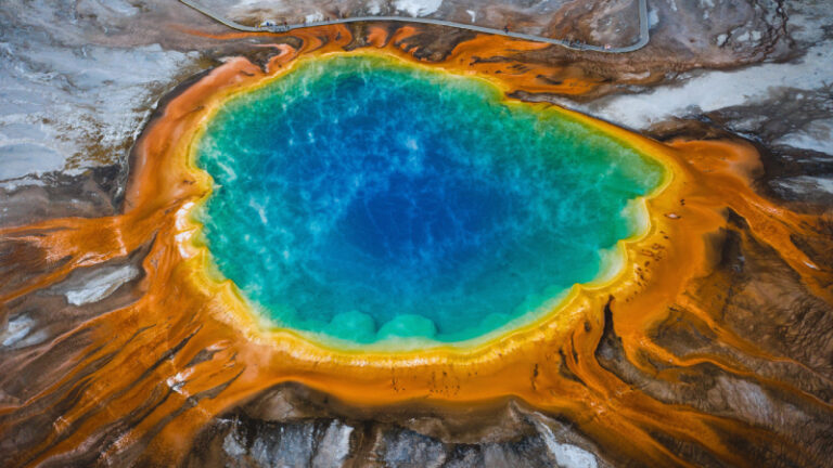 https://images.unsplash.com/photo-1607550295261-851fa60d8ed2?ixlib=rb-4.0.3&ixid=MnwxMjA3fDB8MHxwaG90by1wYWdlfHx8fGVufDB8fHx8&auto=format&fit=crop&w=871&q=80