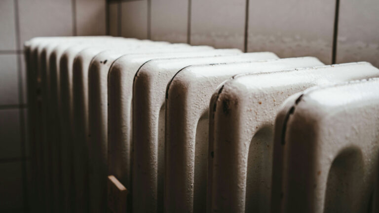 https://images.unsplash.com/photo-1599028274511-e02a767949a3?q=80&w=2071&auto=format&fit=crop&ixlib=rb-4.0.3&ixid=M3wxMjA3fDB8MHxwaG90by1wYWdlfHx8fGVufDB8fHx8fA%3D%3D
