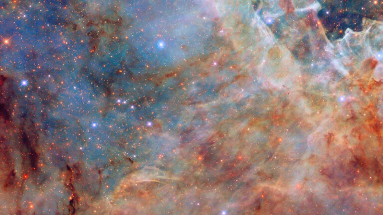 https://assets.science.nasa.gov/dynamicimage/assets/science/missions/hubble/nebulae/emission/Hubble_LMC_Trantula_potw2503a.jpg?w=2000&h=1018&fit=crop&crop=faces%2Cfocalpoint