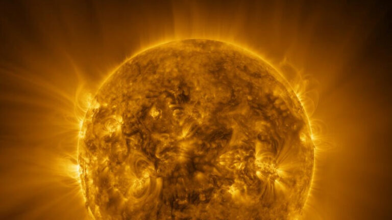 blob:null/8795166c-43bb-4de5-8846-55559de67af1