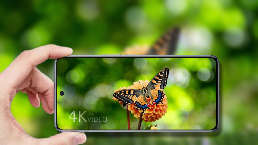 Vivo V50 na displeji obrázek motýla na zeleném pozadí ve 4K