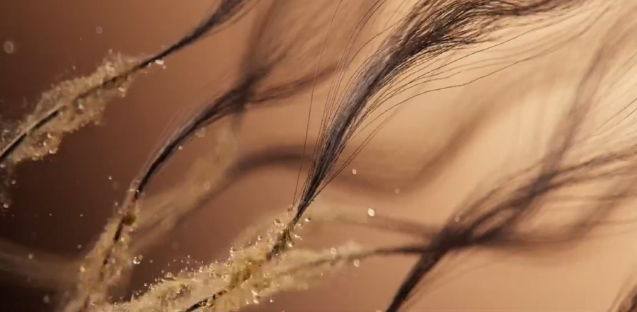 Makro detail na vlasovou strukturu vlasů s částečky oleje, který je vyživuje díky technologii fénu Laifen Swift 4.