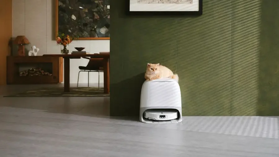 Vysavač Roborock Qrevo Curv 2 v dokovací stanici stojící u zelené zdi v pokoji. Na nabíjecí stanici leží kočka.